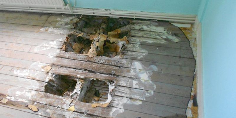 Plancher attaqué par la mérule
